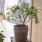 Embossed Clay-Composite Flower Planter