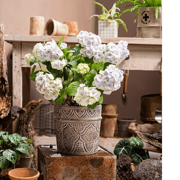 Embossed Clay-Composite Flower Planter