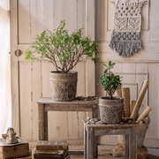 Embossed Clay-Composite Flower Planter