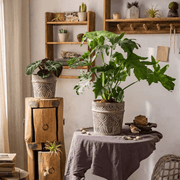 Embossed Clay-Composite Flower Planter