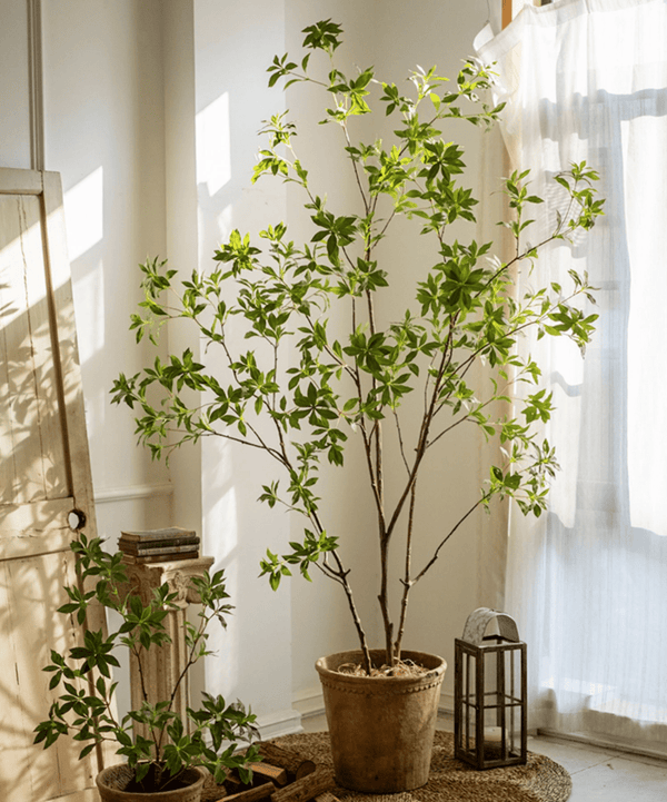Faux Enkianthus Indoor Tree