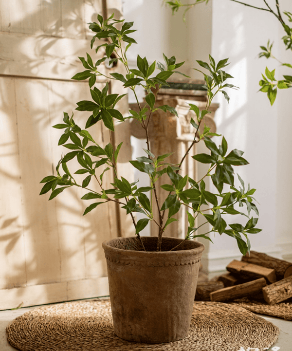 Faux Enkianthus Indoor Tree