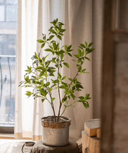 Faux Enkianthus Indoor Tree