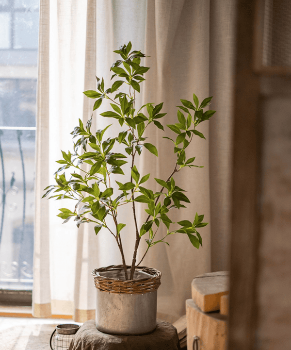 Faux Enkianthus Indoor Tree