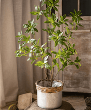 Faux Enkianthus Indoor Tree