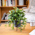 Trailing Faux Pothos Artificial Plant