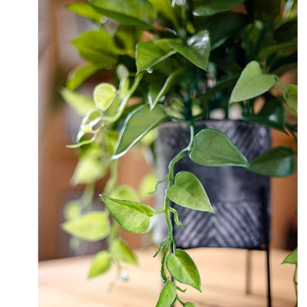 Trailing Faux Pothos Artificial Plant