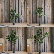 Faux Fiddle Leaf Fig Tree