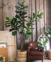 Faux Fiddle Leaf Fig Tree