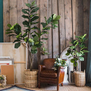 Faux Fiddle Leaf Fig Tree