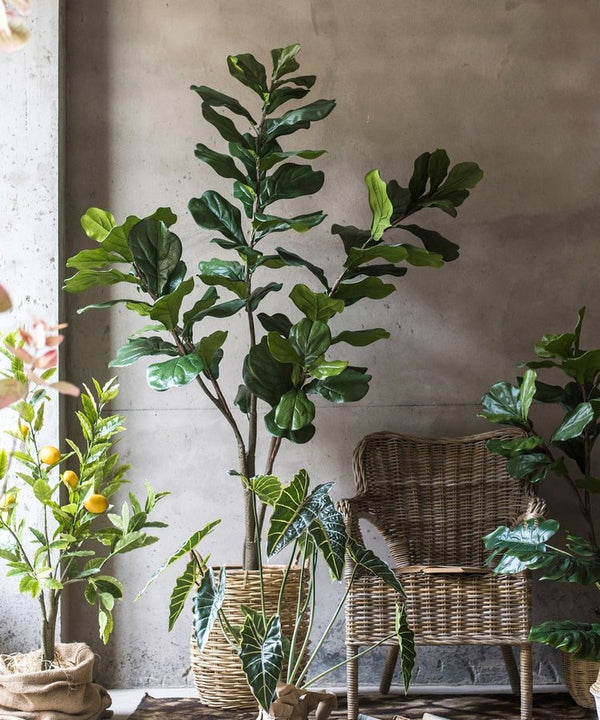 Faux Fiddle Leaf Fig Tree