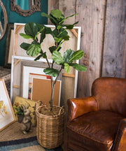Faux Fiddle Leaf Fig Tree