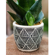 Geometric Etched Cement Planter