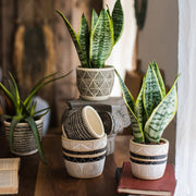 Geometric Etched Cement Planter