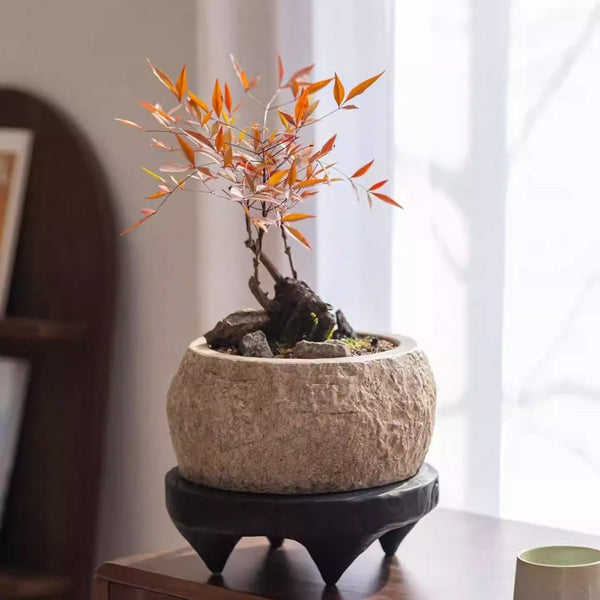 Chiseled Cement Round Planter