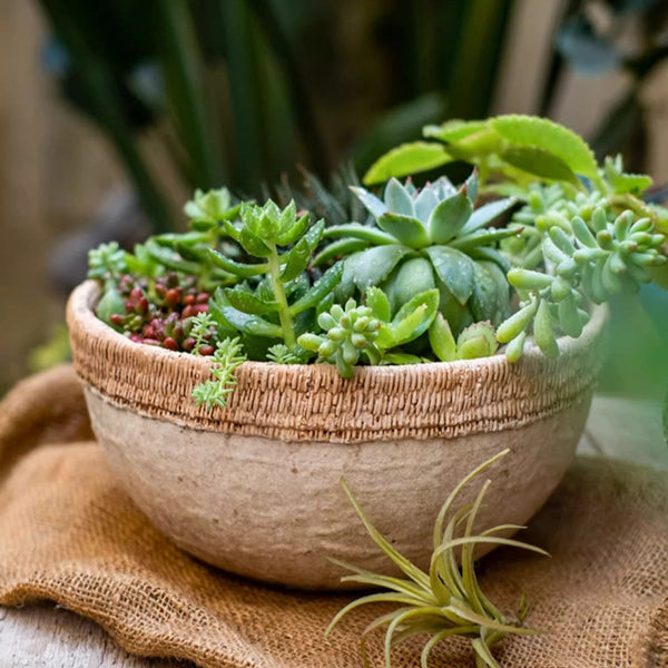 Woven-Edge Cement Composite Planter