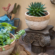 Woven-Edge Cement Composite Planter