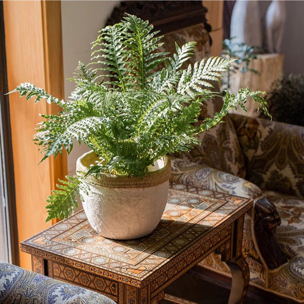 Woven-Edge Cement Composite Planter
