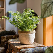 Woven-Edge Cement Composite Planter