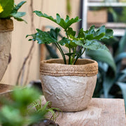 Woven-Edge Cement Composite Planter