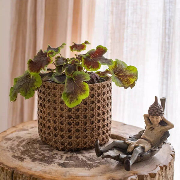 Close-up detail of Rattan-Weave Cement Planter