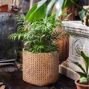 Rattan-Weave Cement Planter