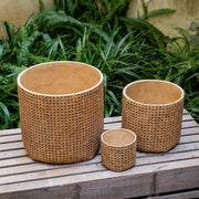 Rattan-Weave Cement Planter