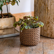 Rattan-Weave Cement Planter