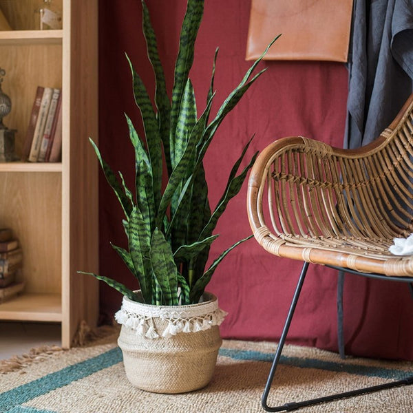 Faux Snake Plant Potted