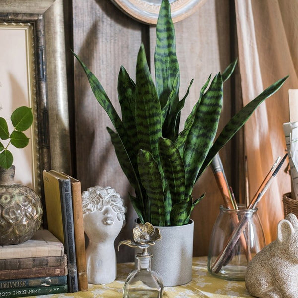 Faux Snake Plant Potted