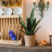 Faux Snake Plant Potted
