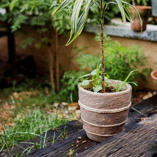Rope-Banded Terracotta Planter