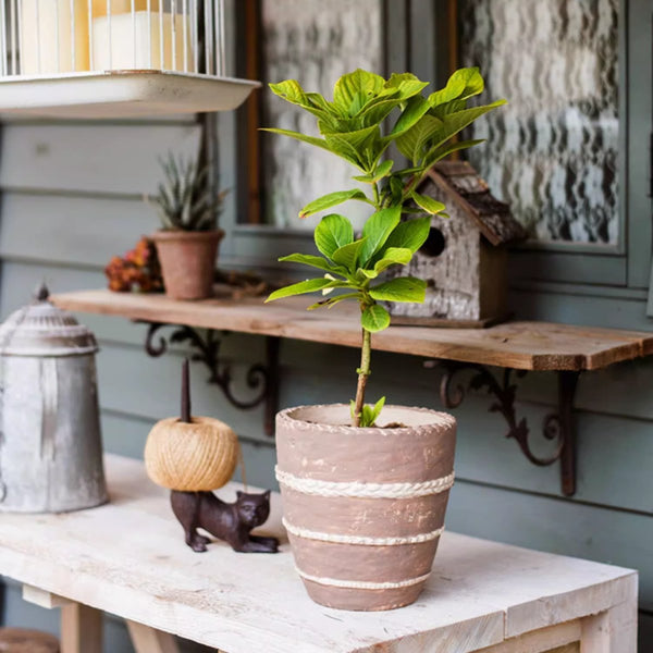 Rope-Banded Terracotta Planter