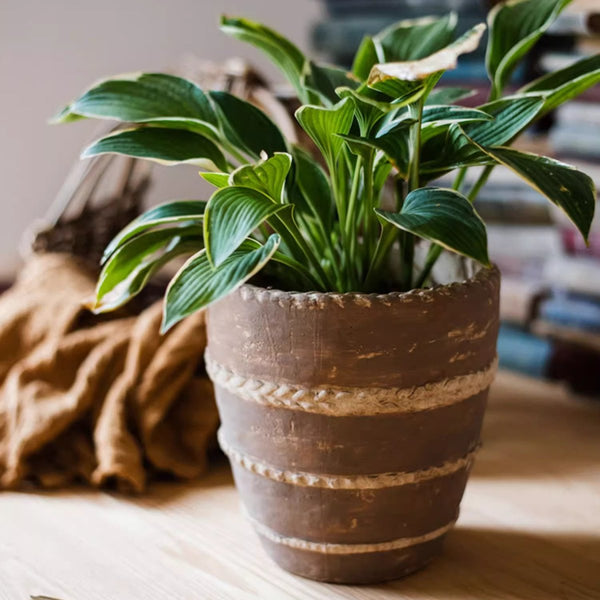 Rope-Banded Terracotta Planter