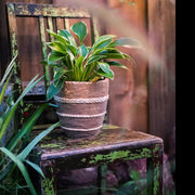 Rope-Banded Terracotta Planter