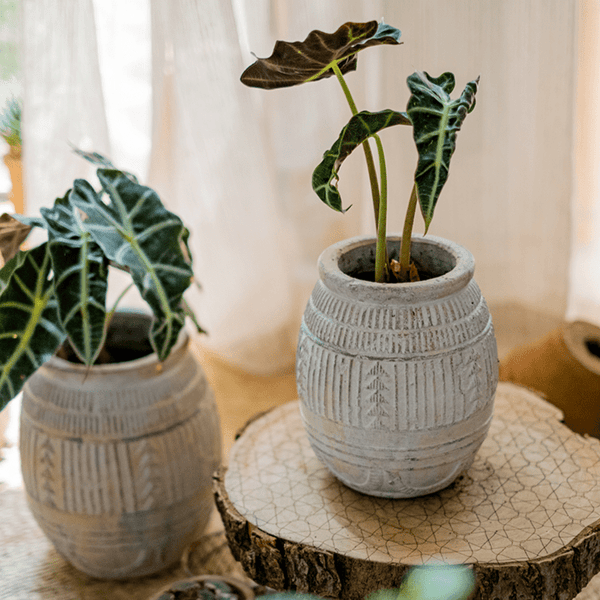 Carved Geometric Stoneware Planter