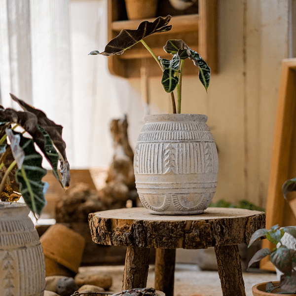 Carved Geometric Stoneware Planter