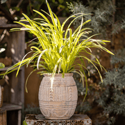 Carved Geometric Stoneware Planter