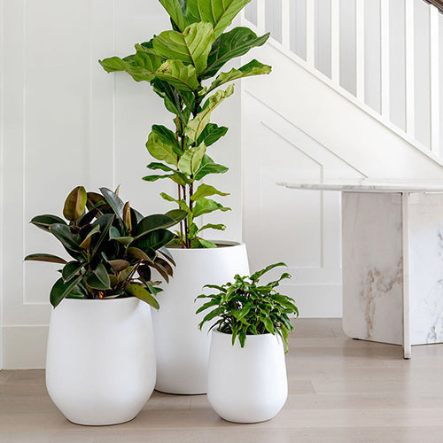 Flared-Base Indoor Outdoor Planter