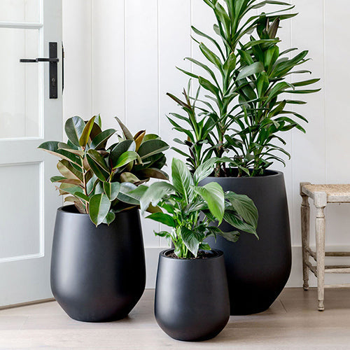 Flared-Base Indoor Outdoor Planter