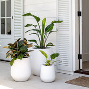 Flared-Base Indoor Outdoor Planter