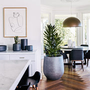 Flared-Base Indoor Outdoor Planter