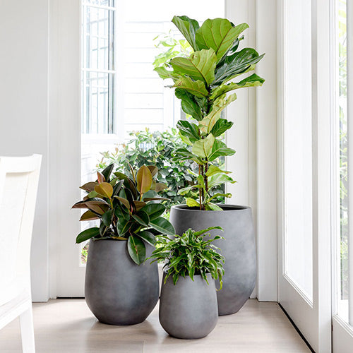 Flared-Base Indoor Outdoor Planter