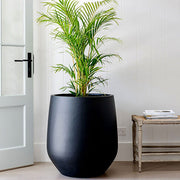 Flared-Base Indoor Outdoor Planter