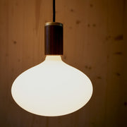 Walnut & Brass Knuckle Pendant Fixture