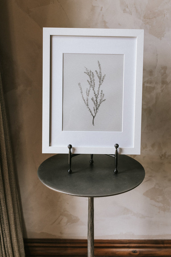 Framed Botanical Sprig Print