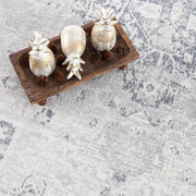 Medallion Washable Area Rug