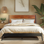Acacia Wood-Grain Platform Bed Frame