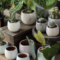 Crackle Glaze Ceramic Pot Set