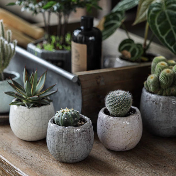 Crackle Glaze Ceramic Pot Set